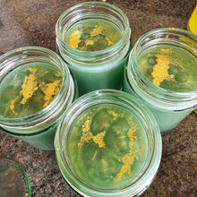 Load image into Gallery viewer, VANILLA BEAN - LillyBella Handcrafted